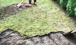Снятие дерна старого газона в Керчи – от 525 руб. | ГОСТСТРОЙ